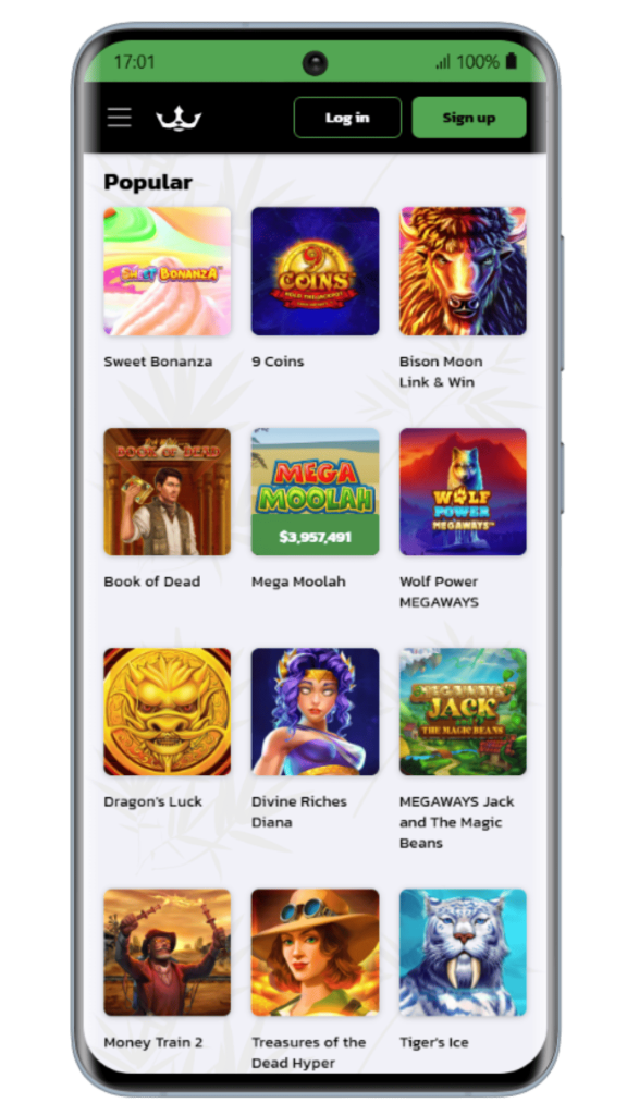 Popular slots at Royal Panda Casino